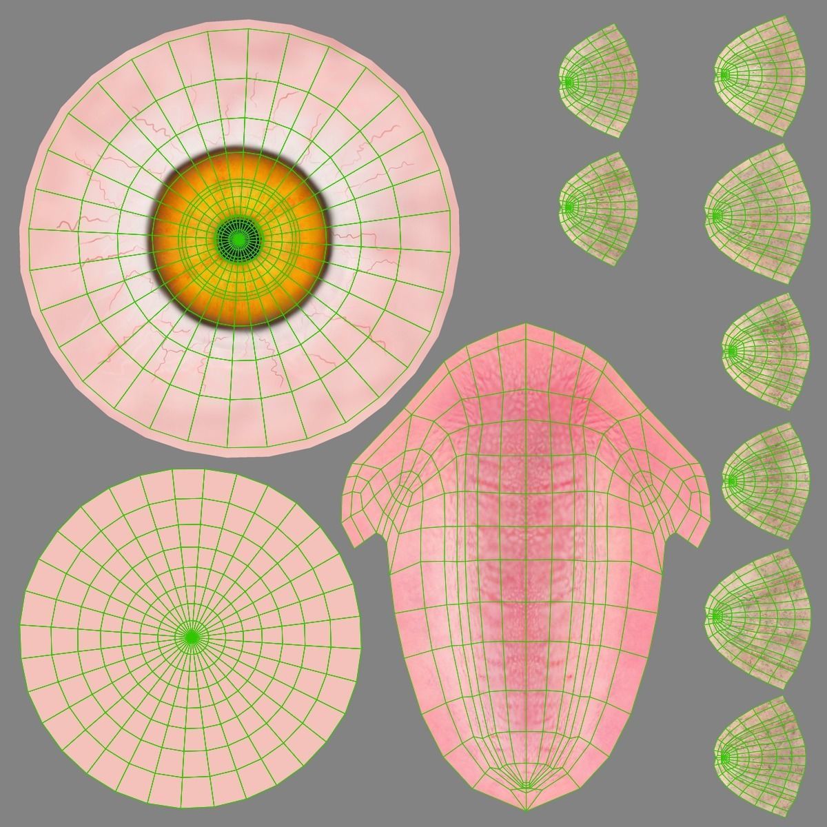 Red Hen Animated VFX Grace 3D model_35