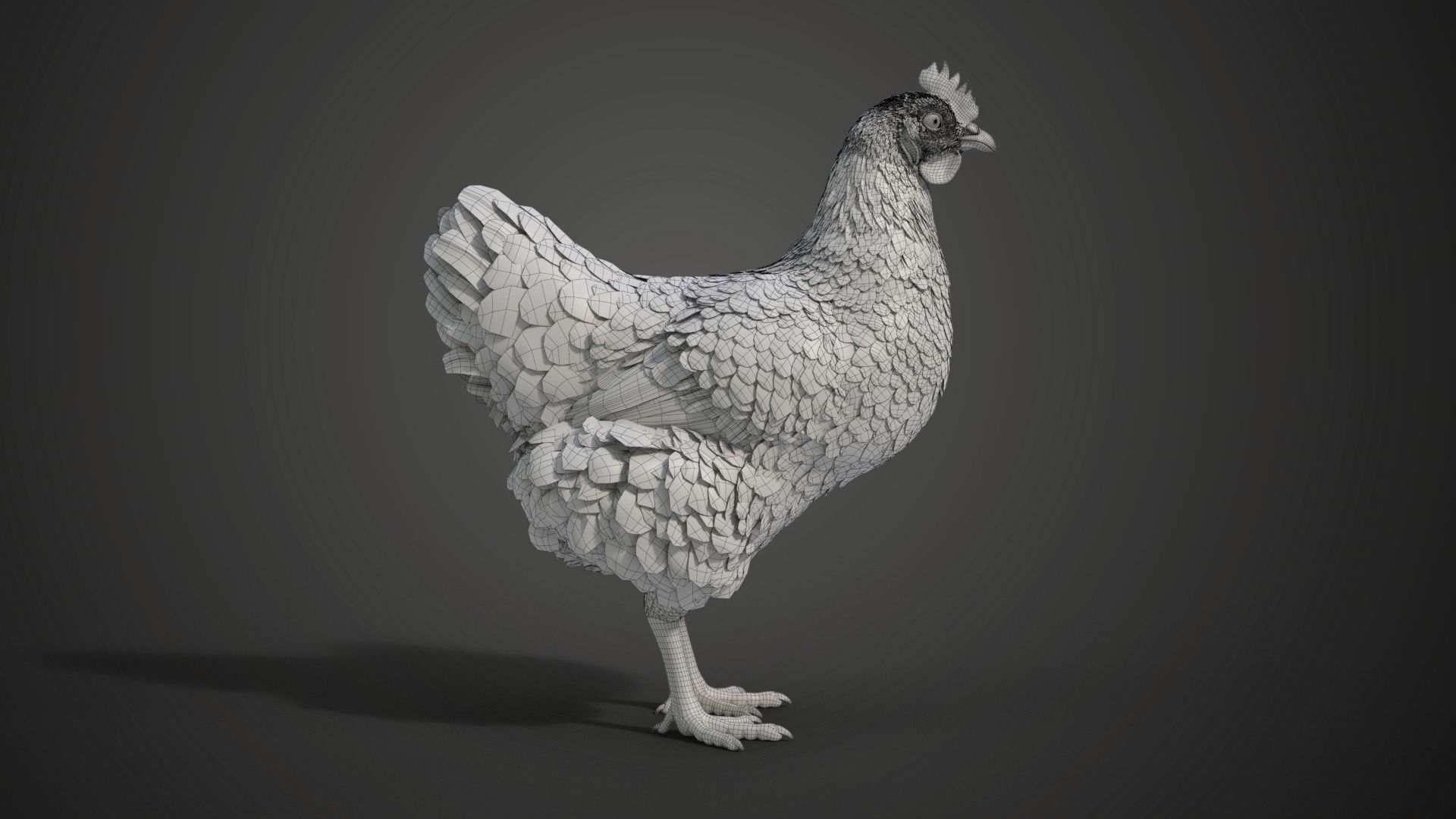 Red Hen Animated VFX Grace 3D model_31