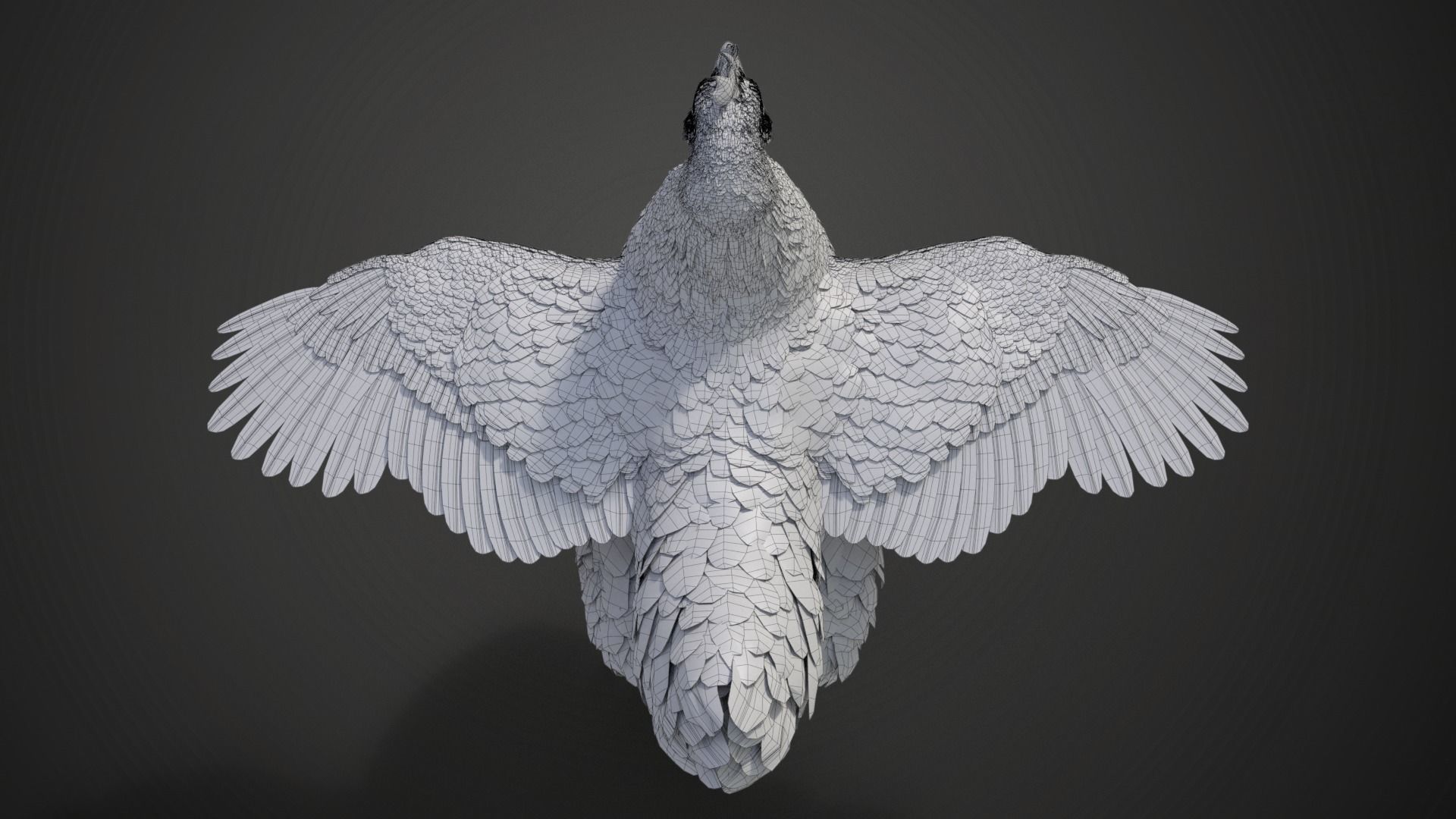 Red Hen Animated VFX Grace 3D model_28