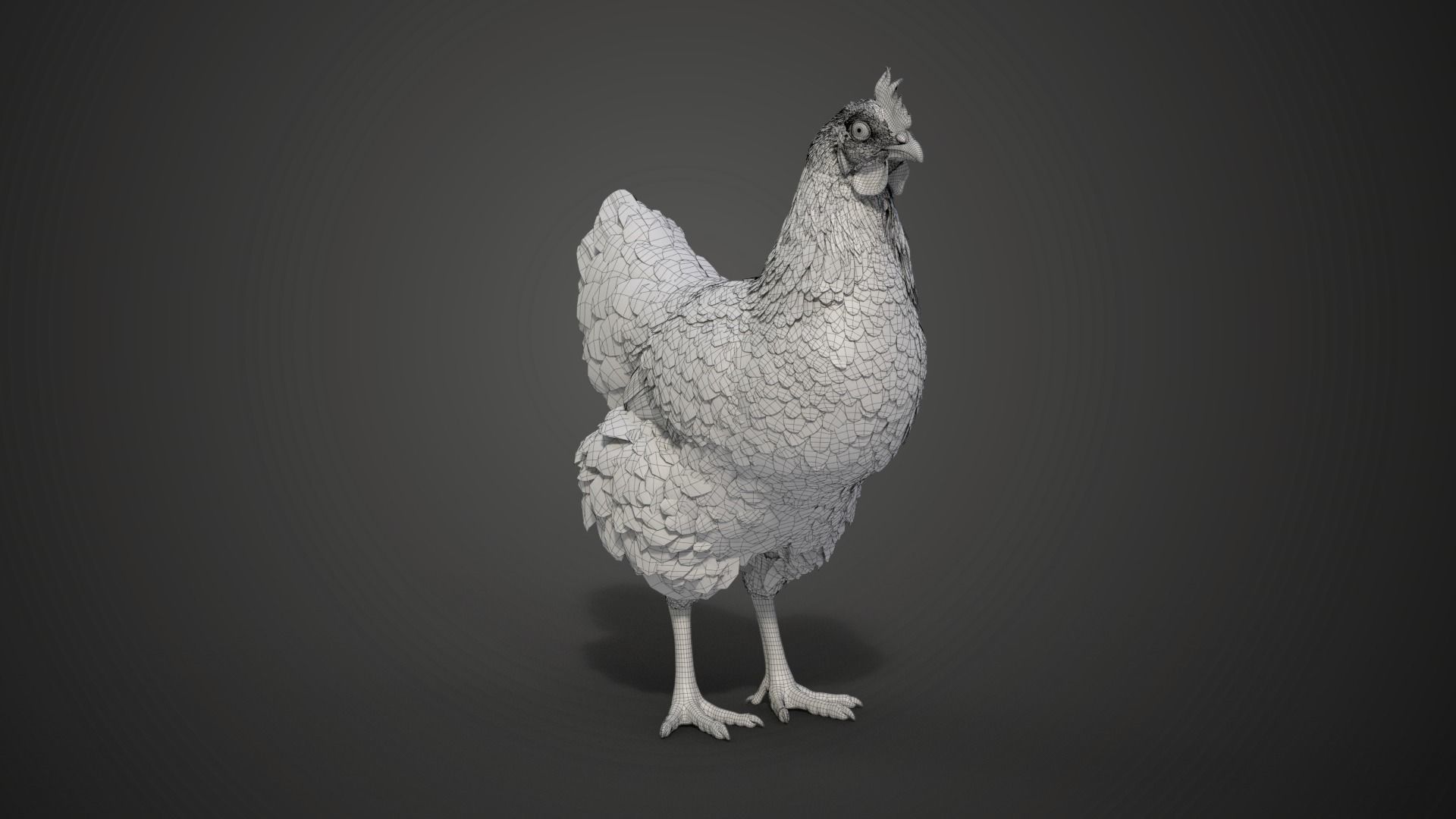 Red Hen Animated VFX Grace 3D model_30