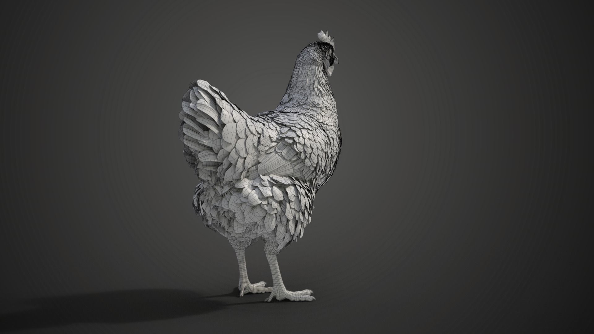 Red Hen Animated VFX Grace 3D model_32