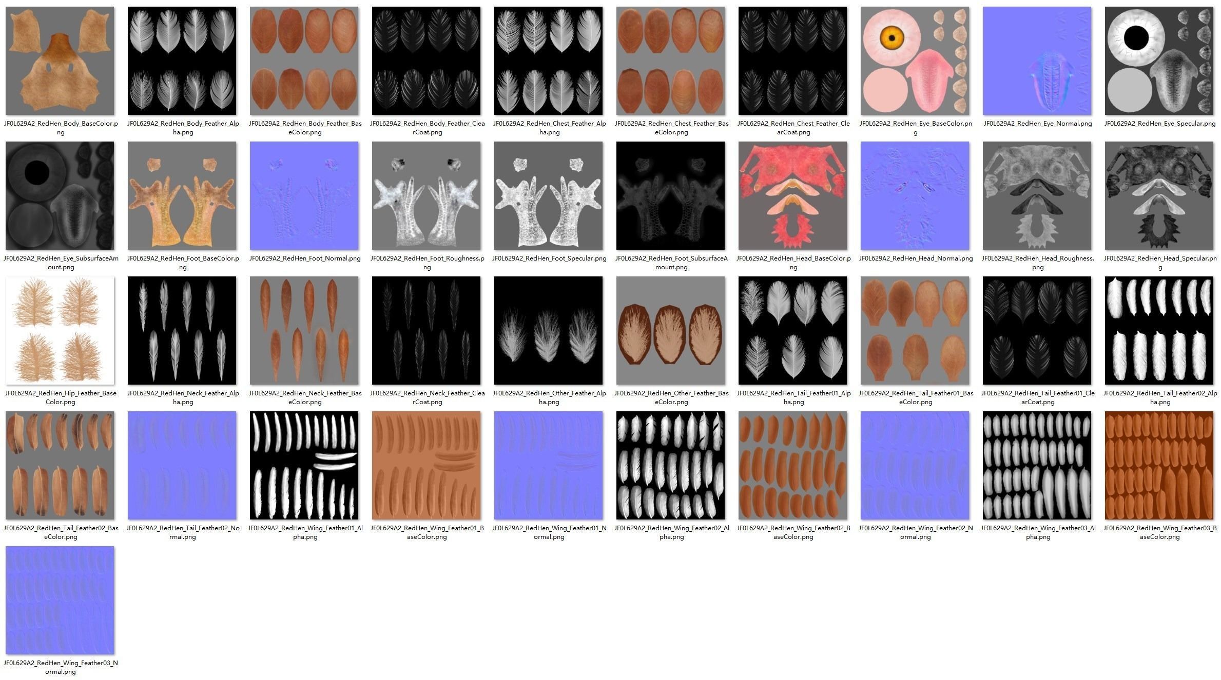 Red Hen Animated VFX Grace 3D model_45