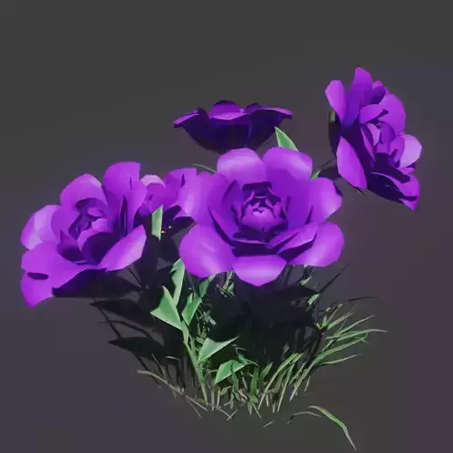 Purple Flower