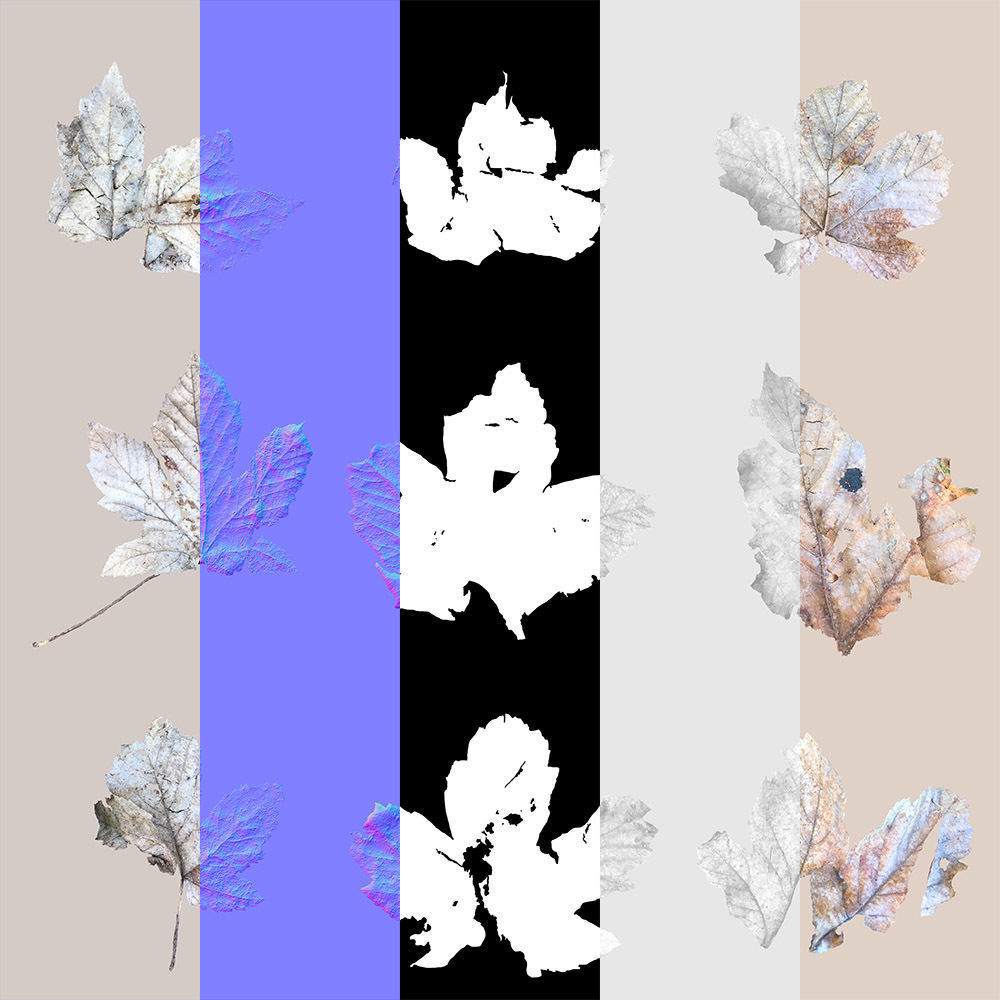 Dry Leaves Pack 3D model_33