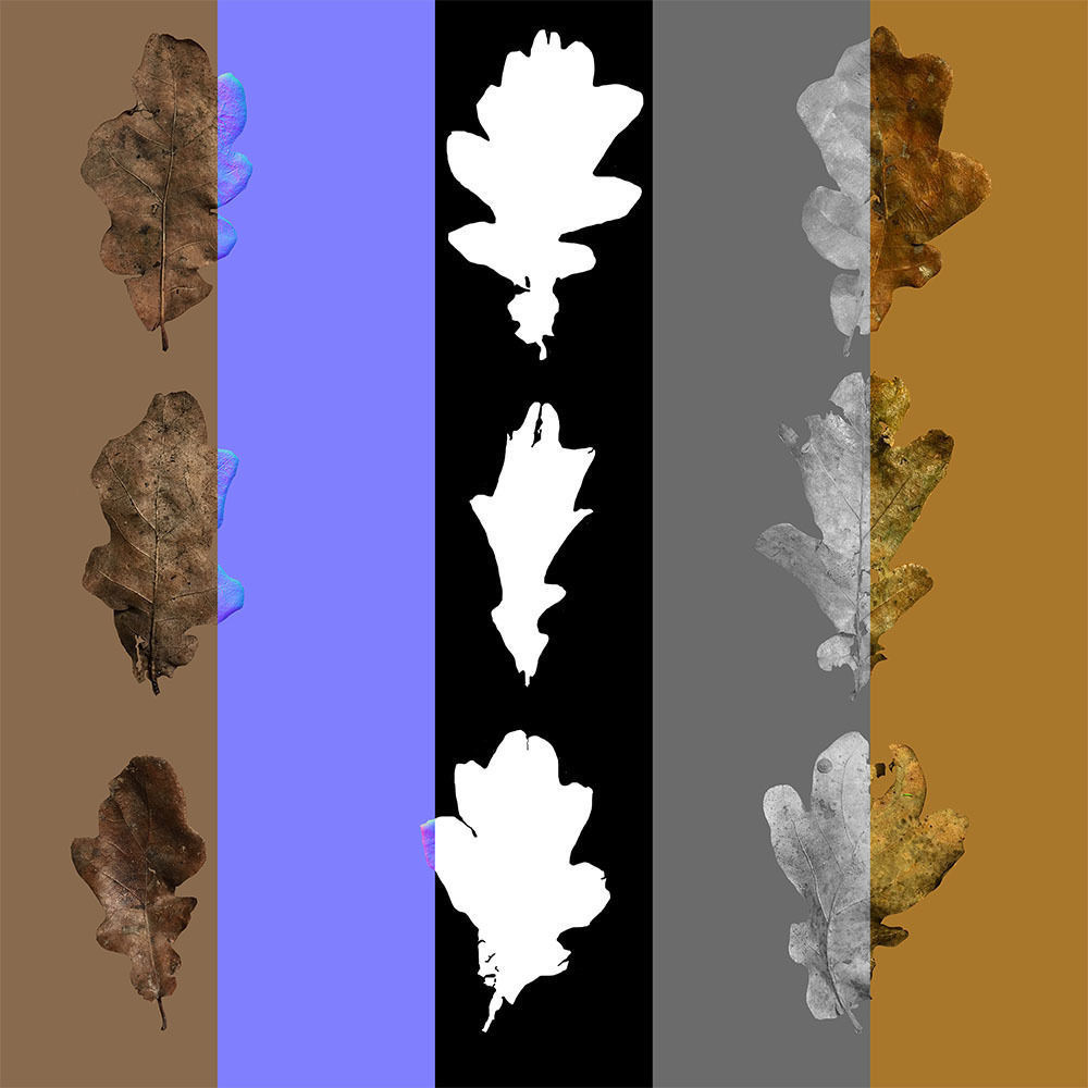 Dry Leaves Pack 3D model_35