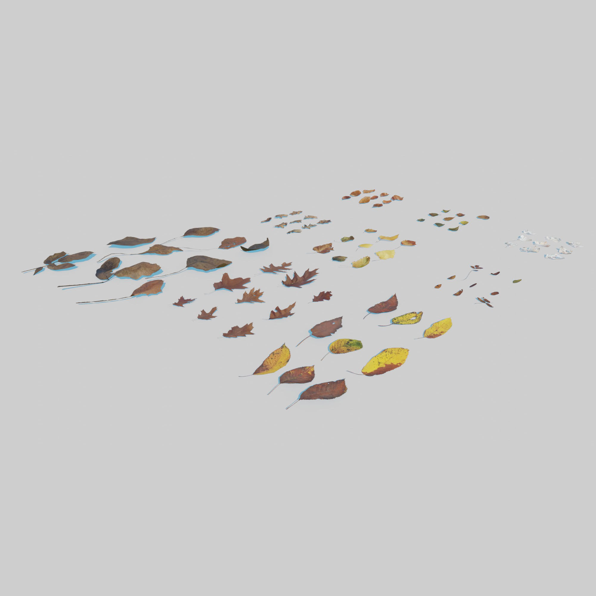 Dry Leaves Pack 3D model_3