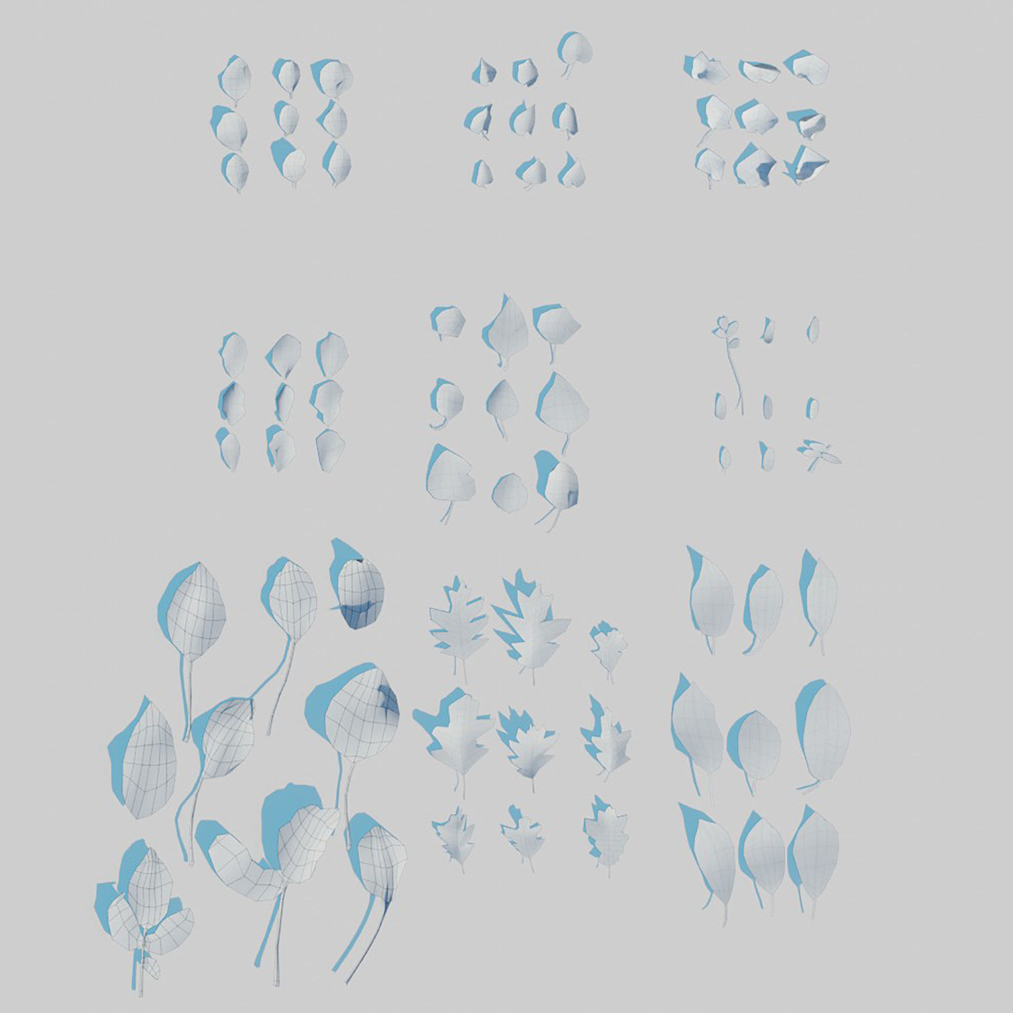 Dry Leaves Pack 3D model_10