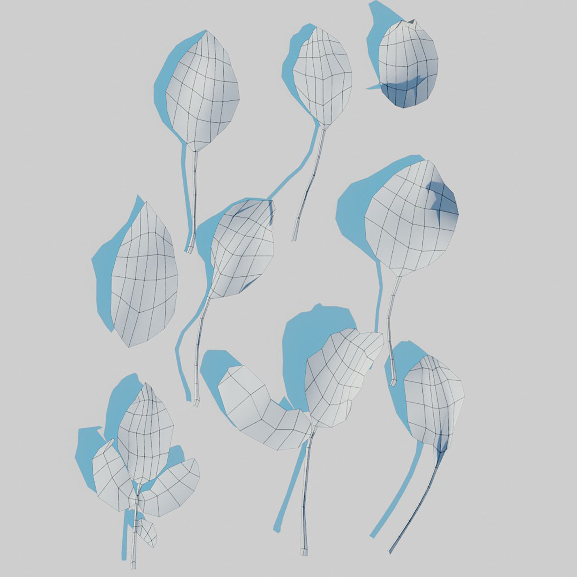 Dry Leaves Pack 3D model_24