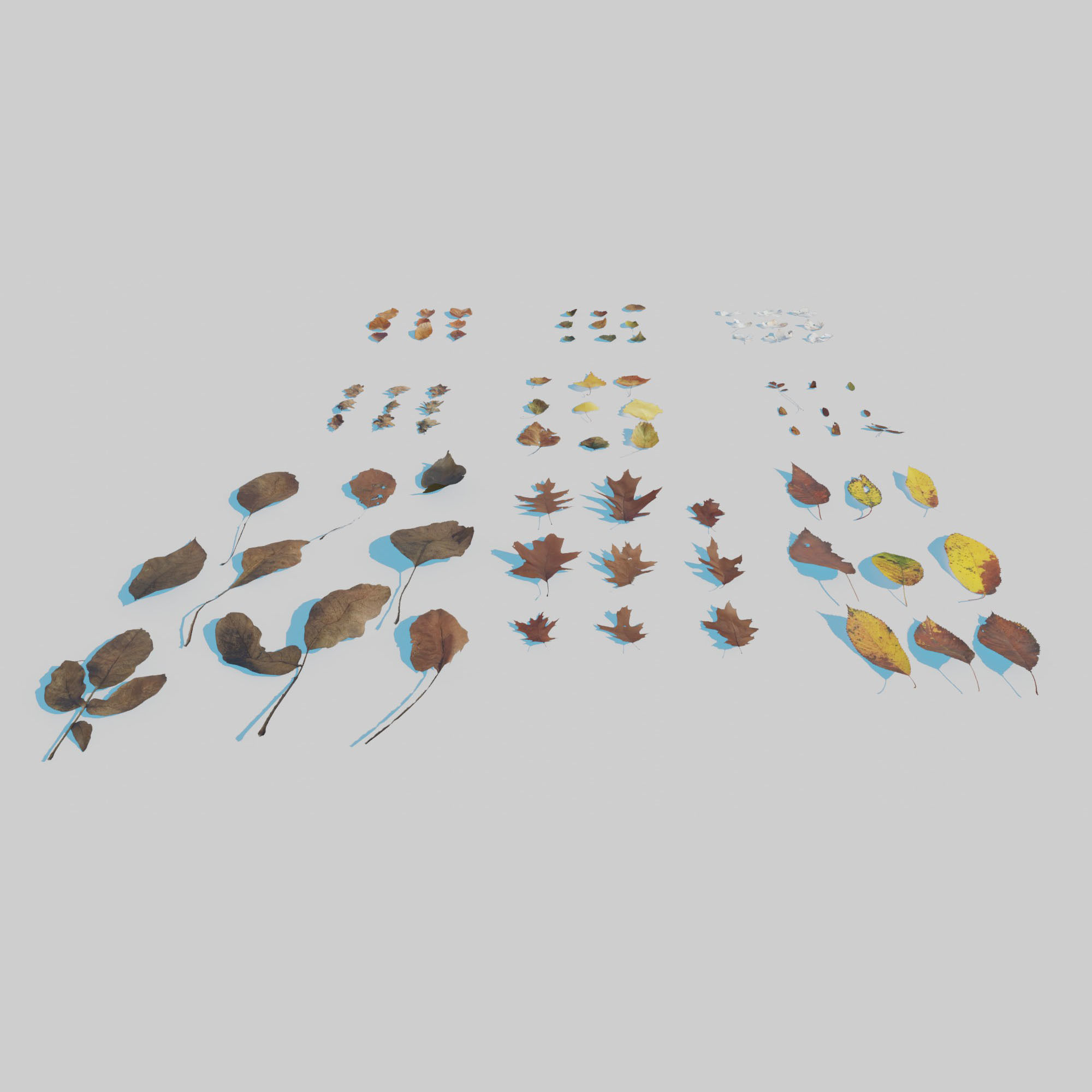 Dry Leaves Pack 3D model_2