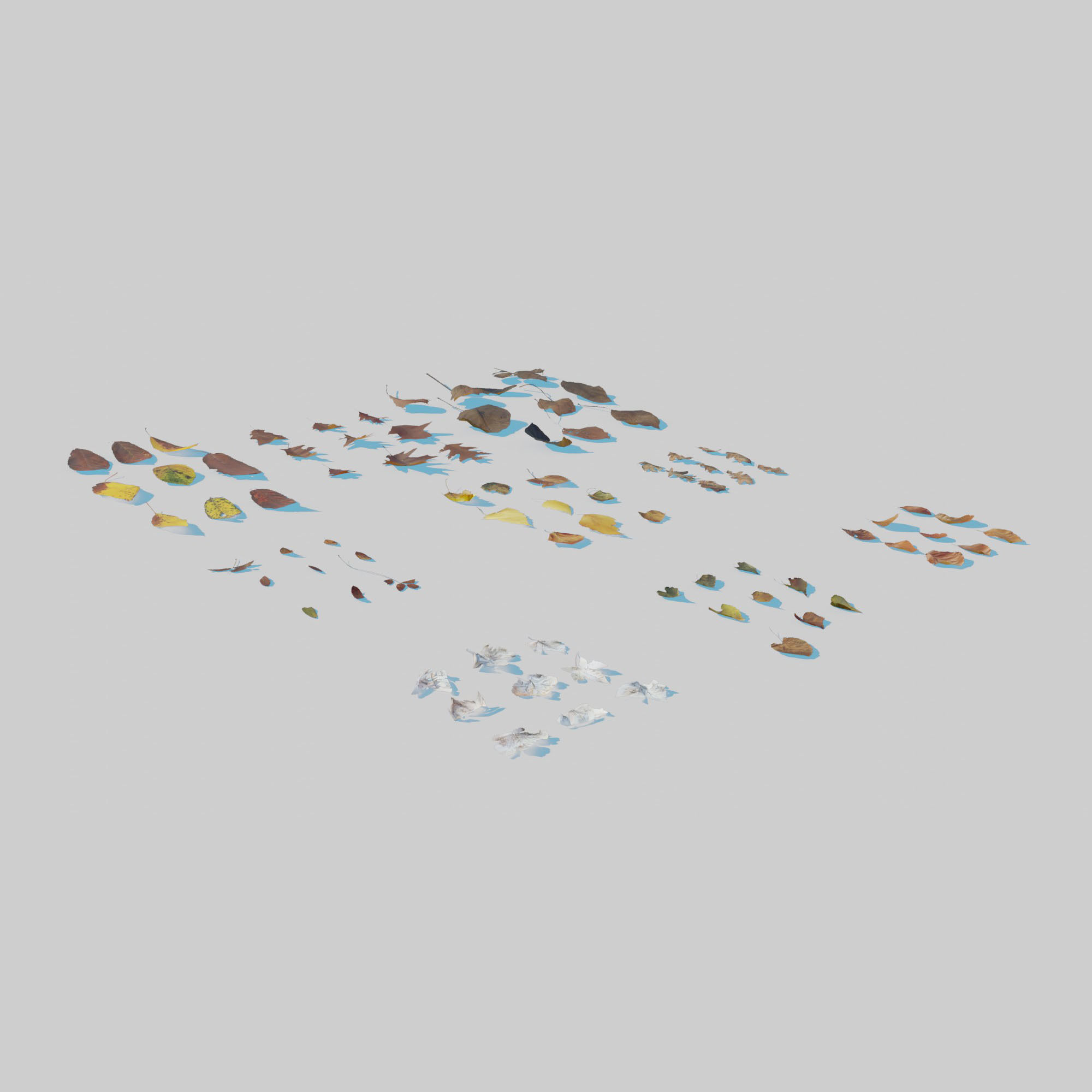 Dry Leaves Pack 3D model_5