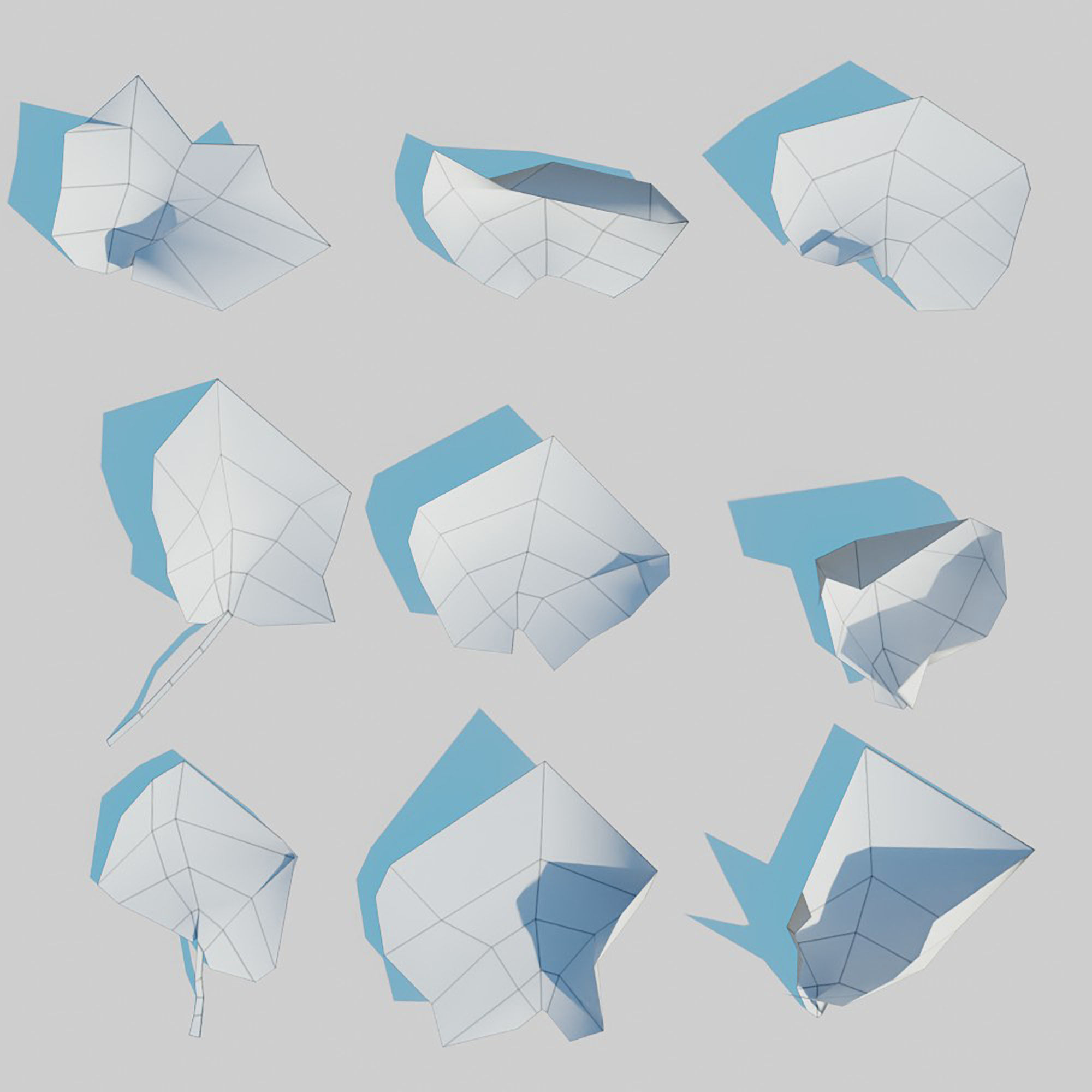 Dry Leaves Pack 3D model_16