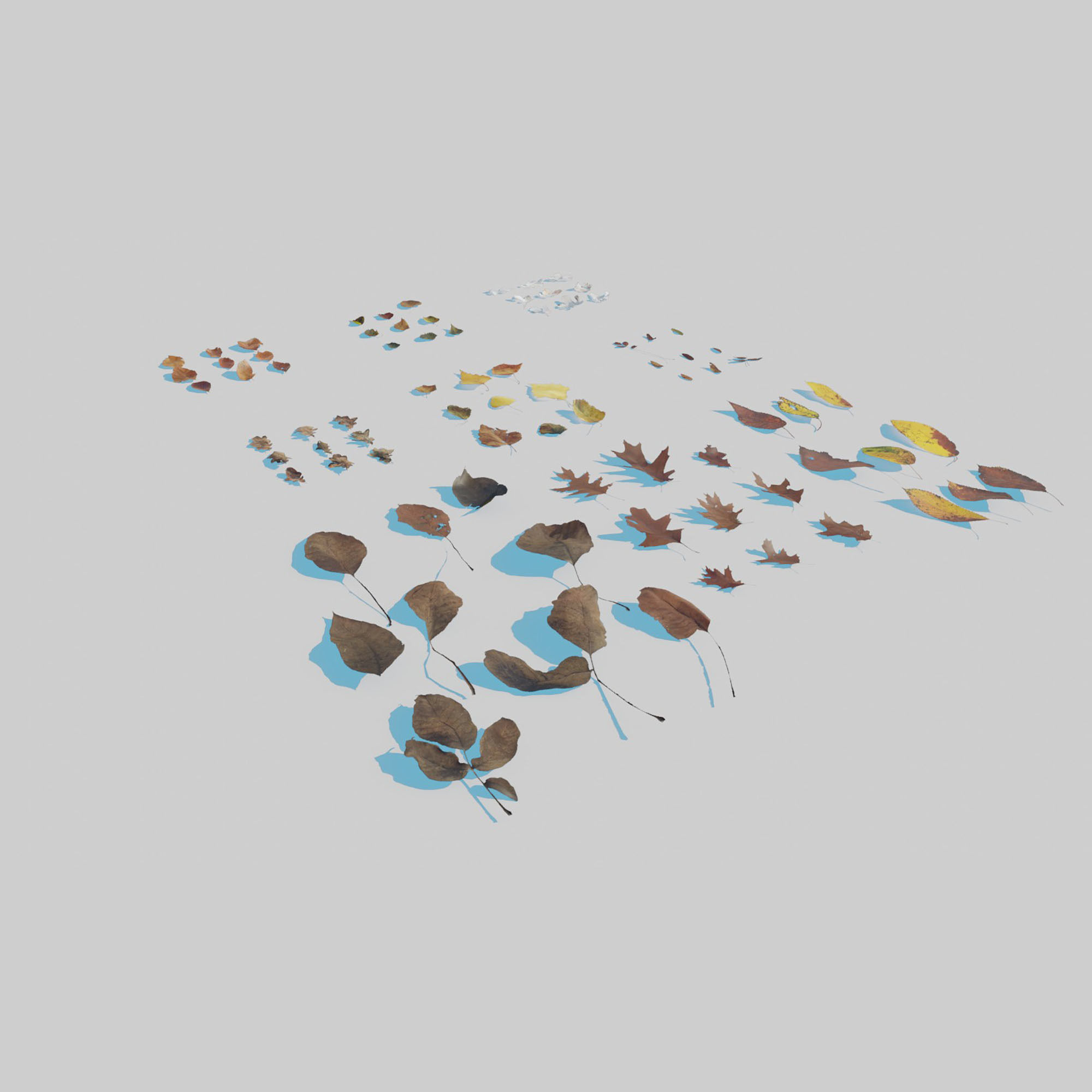 Dry Leaves Pack 3D model_1