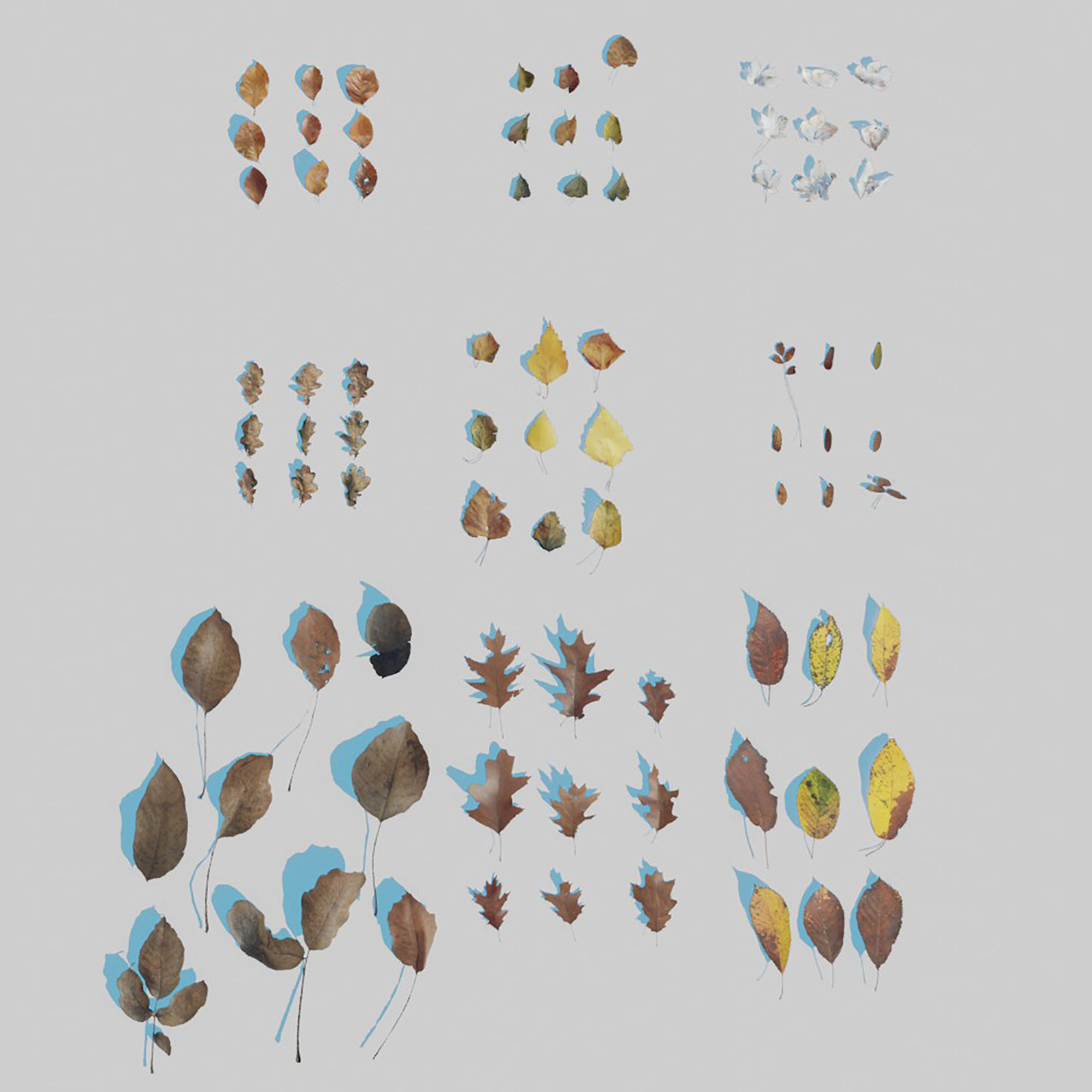 Dry Leaves Pack 3D model_9