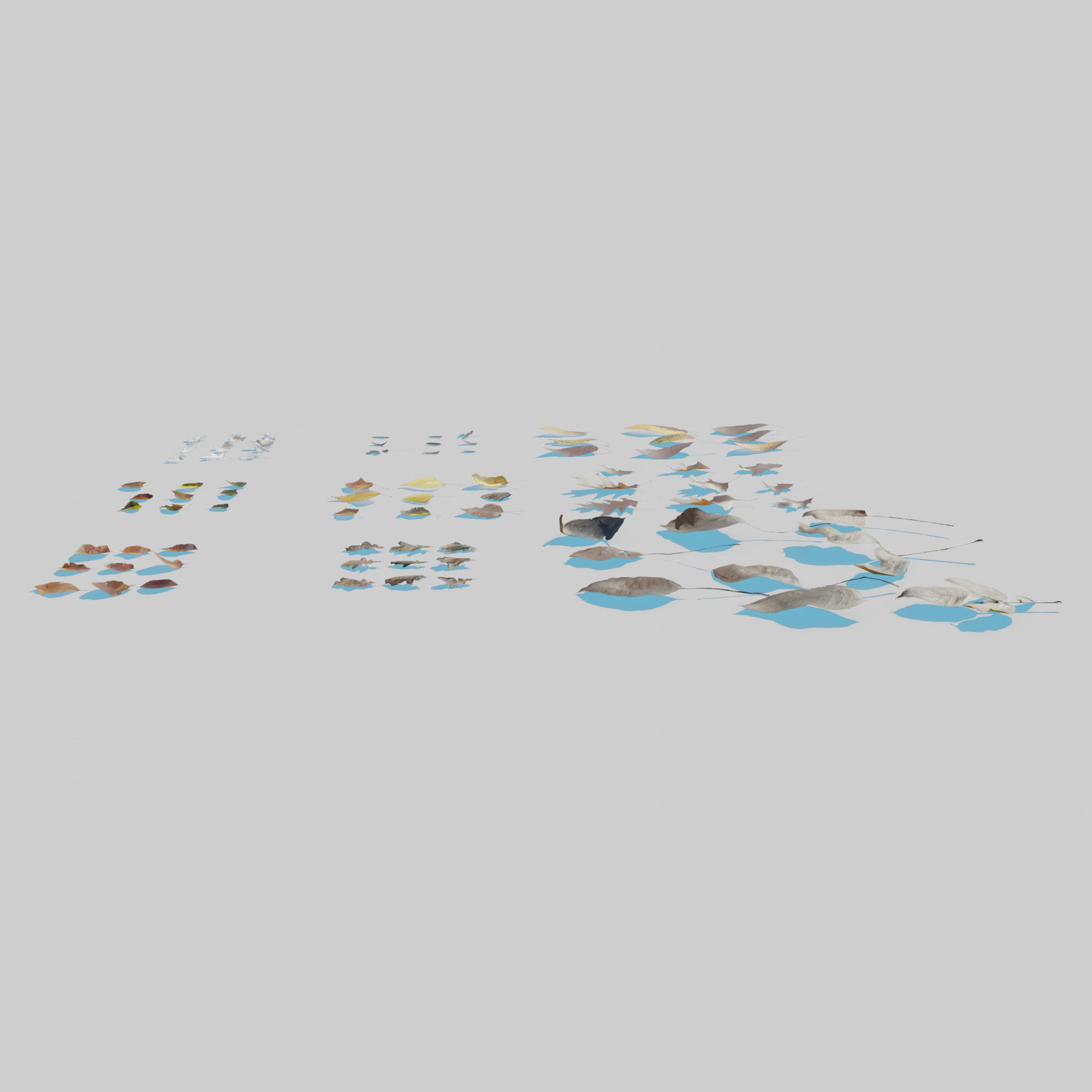 Dry Leaves Pack 3D model_8