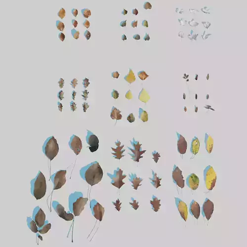 Dry Leaves Pack 3D model
