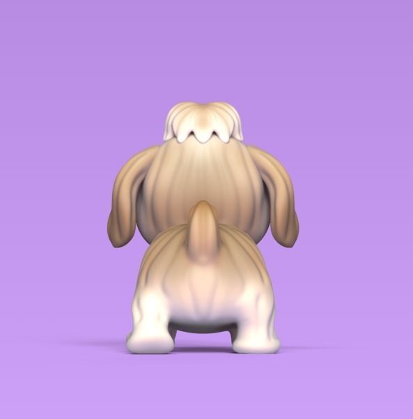 Dog Shih Tzu 3D print model_3