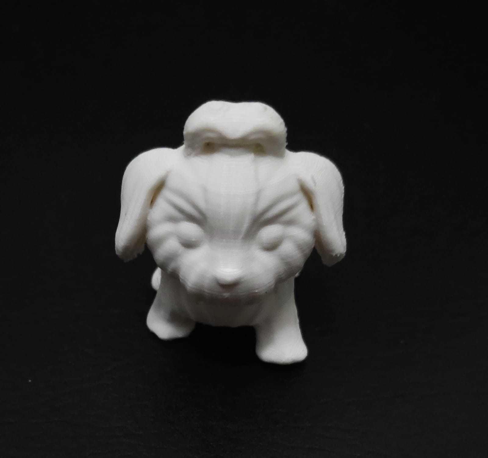 Dog Shih Tzu 3D print model_10