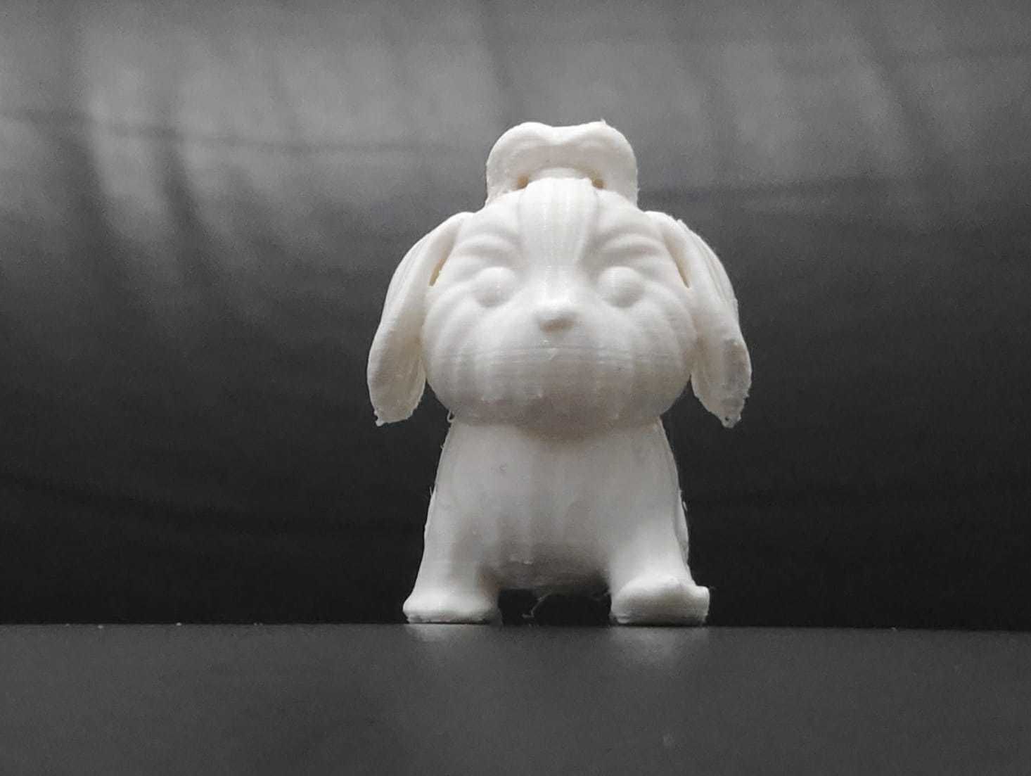 Dog Shih Tzu 3D print model_9