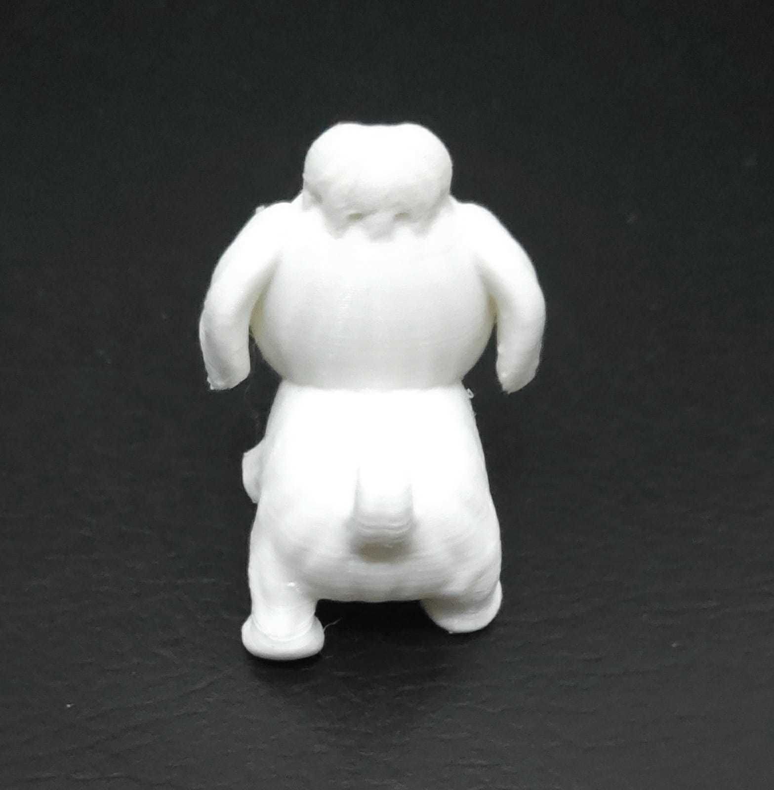 Dog Shih Tzu 3D print model_14