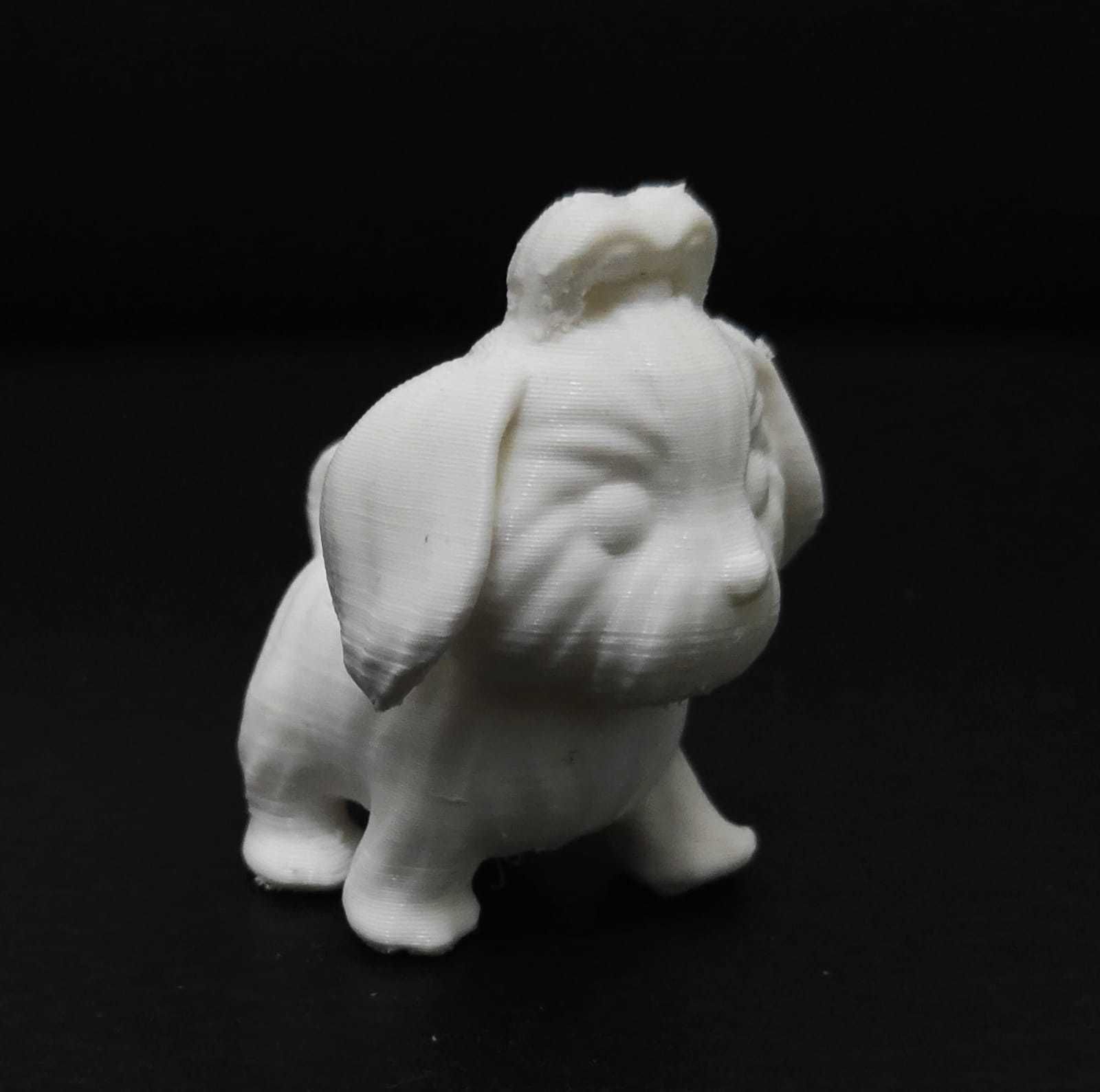 Dog Shih Tzu 3D print model_12