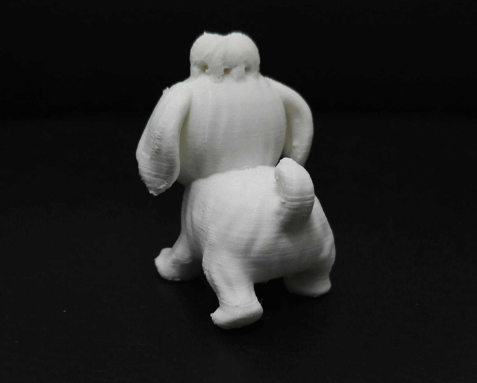 Dog Shih Tzu 3D print model_13