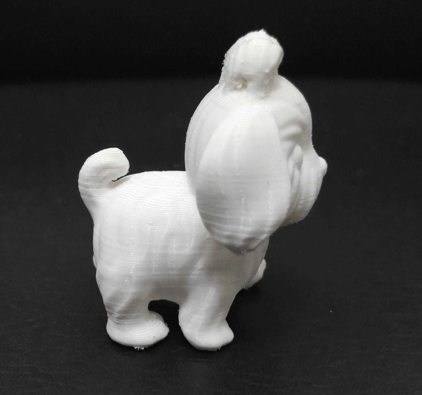 Dog Shih Tzu 3D print model_6
