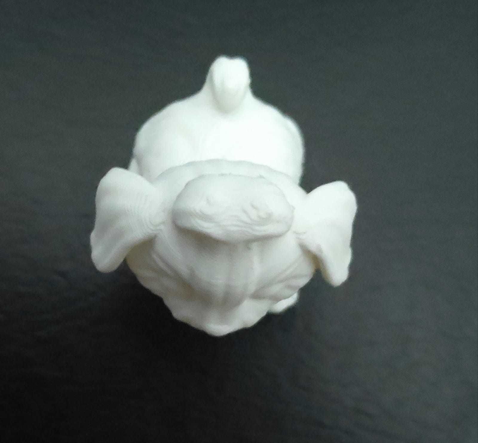 Dog Shih Tzu 3D print model_11