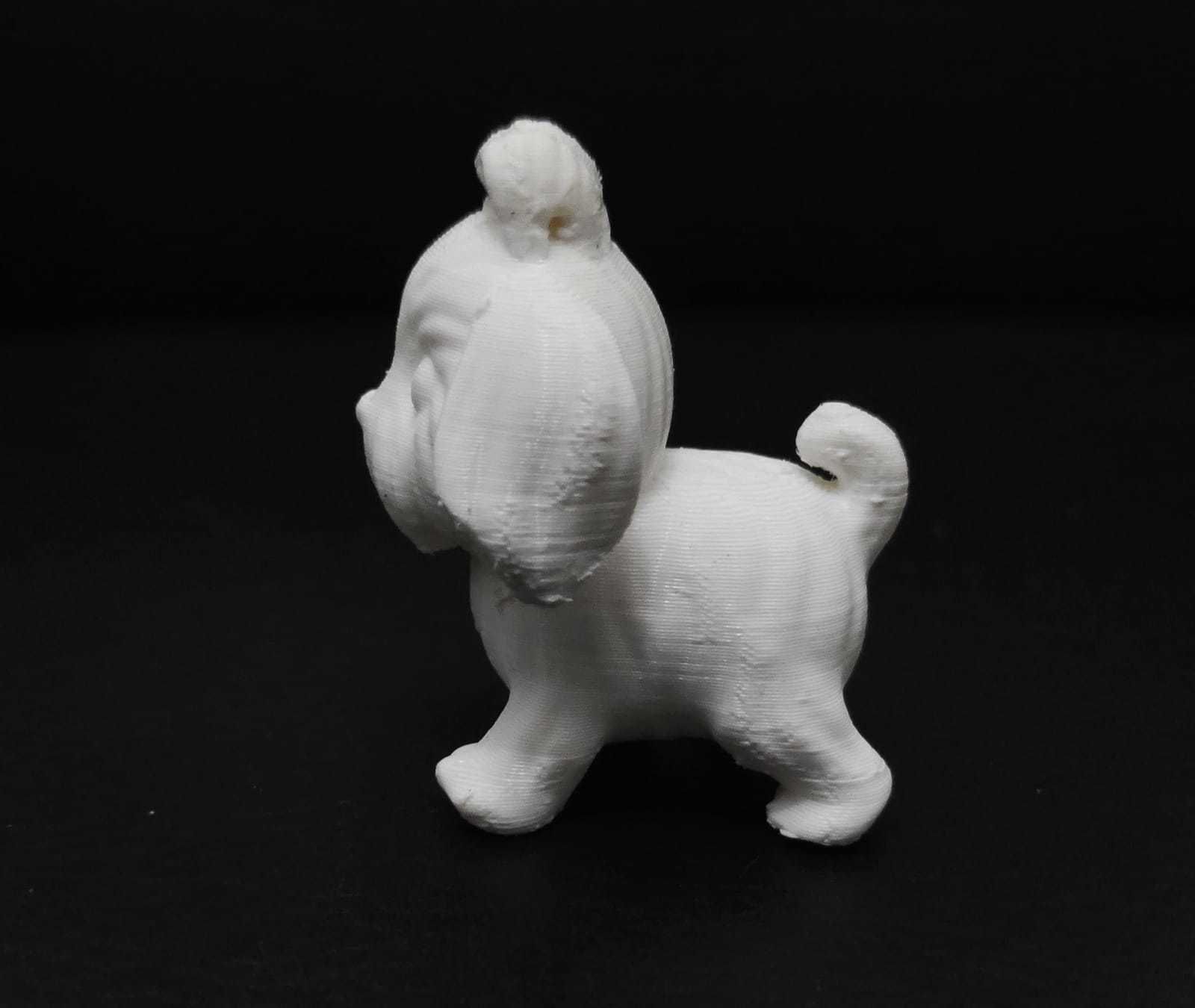 Dog Shih Tzu 3D print model_5