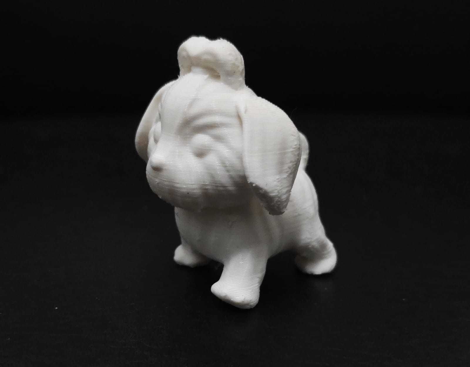 Dog Shih Tzu 3D print model_8
