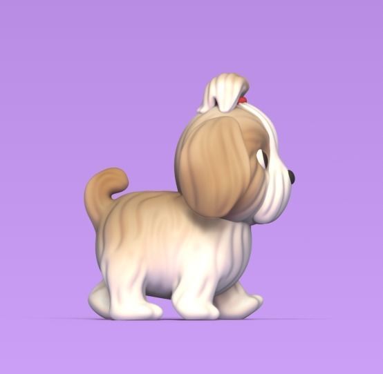 Dog Shih Tzu 3D print model_2