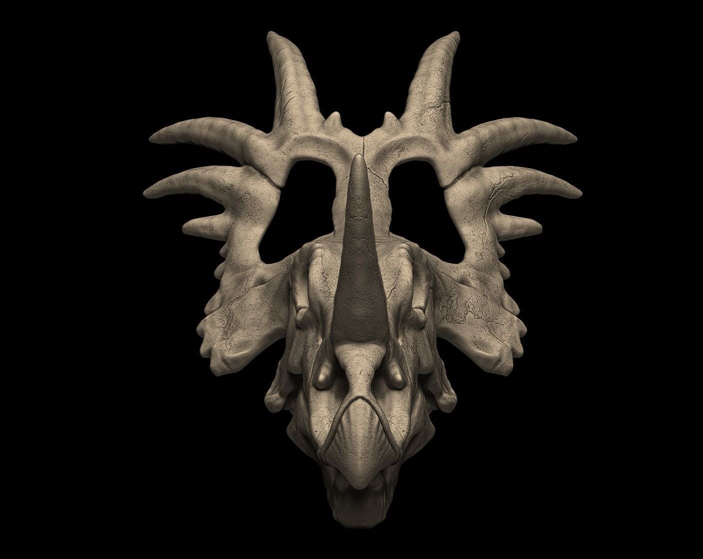 Styracosaurus Skull 3D Print Model 3D print model_1