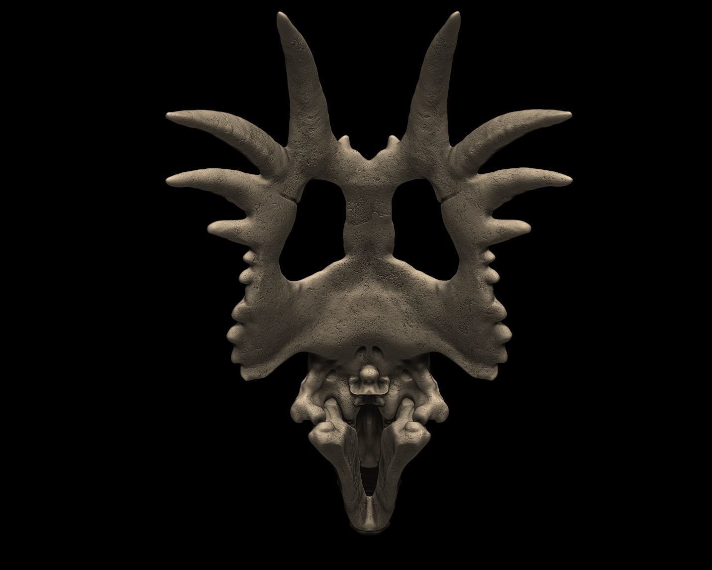Styracosaurus Skull 3D Print Model 3D print model_3
