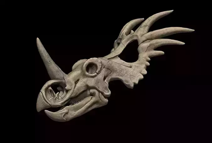 Styracosaurus Skull 3D Print Model 3D print model