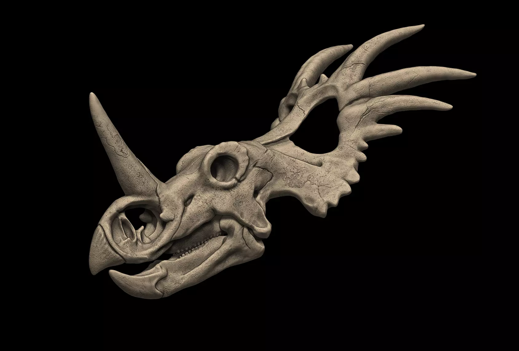 Styracosaurus Skull 3D Print Model 3D print model_0