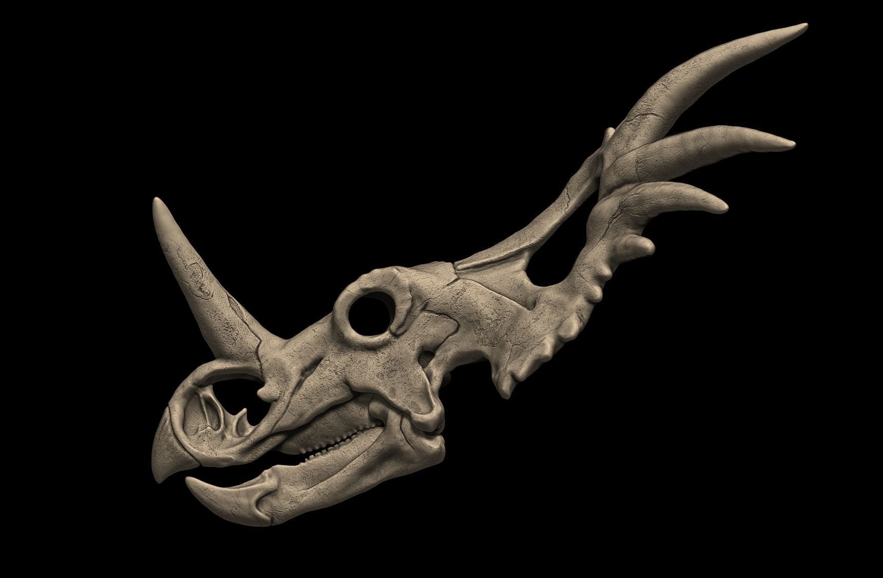 Styracosaurus Skull 3D Print Model 3D print model_2
