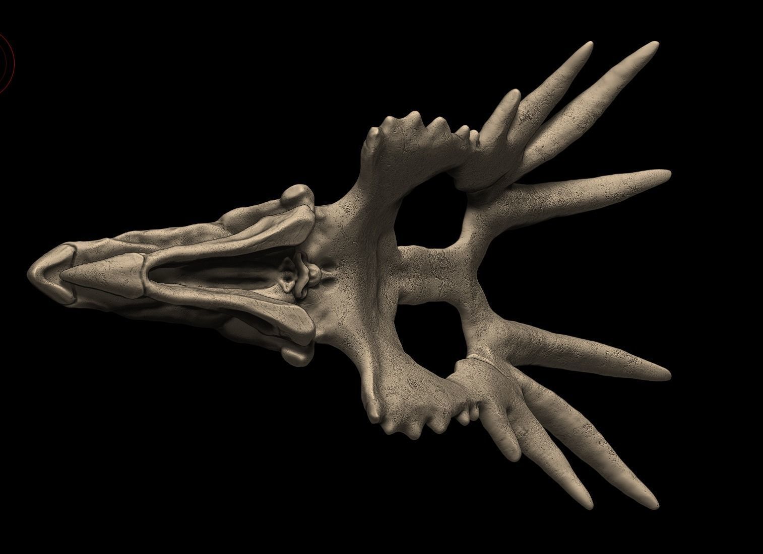 Styracosaurus Skull 3D Print Model 3D print model_4