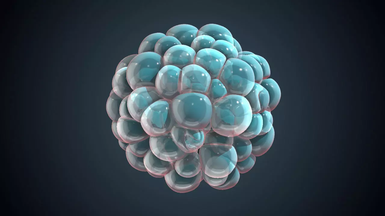 Cell Division Spherical Animated 3D Sequence 3D model