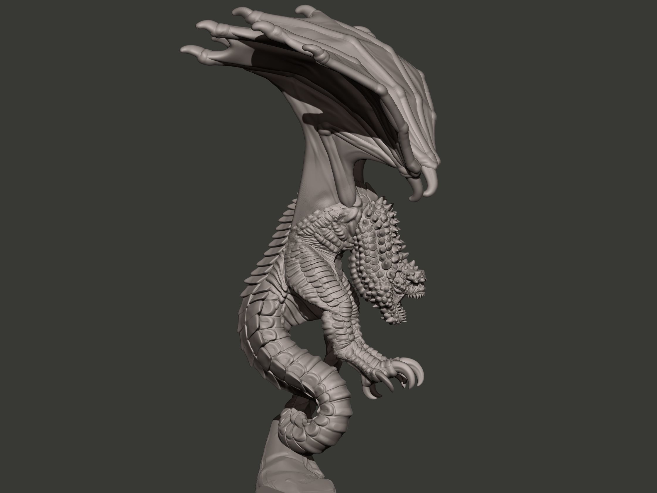 Wyvern dragon statue 3D print model_10