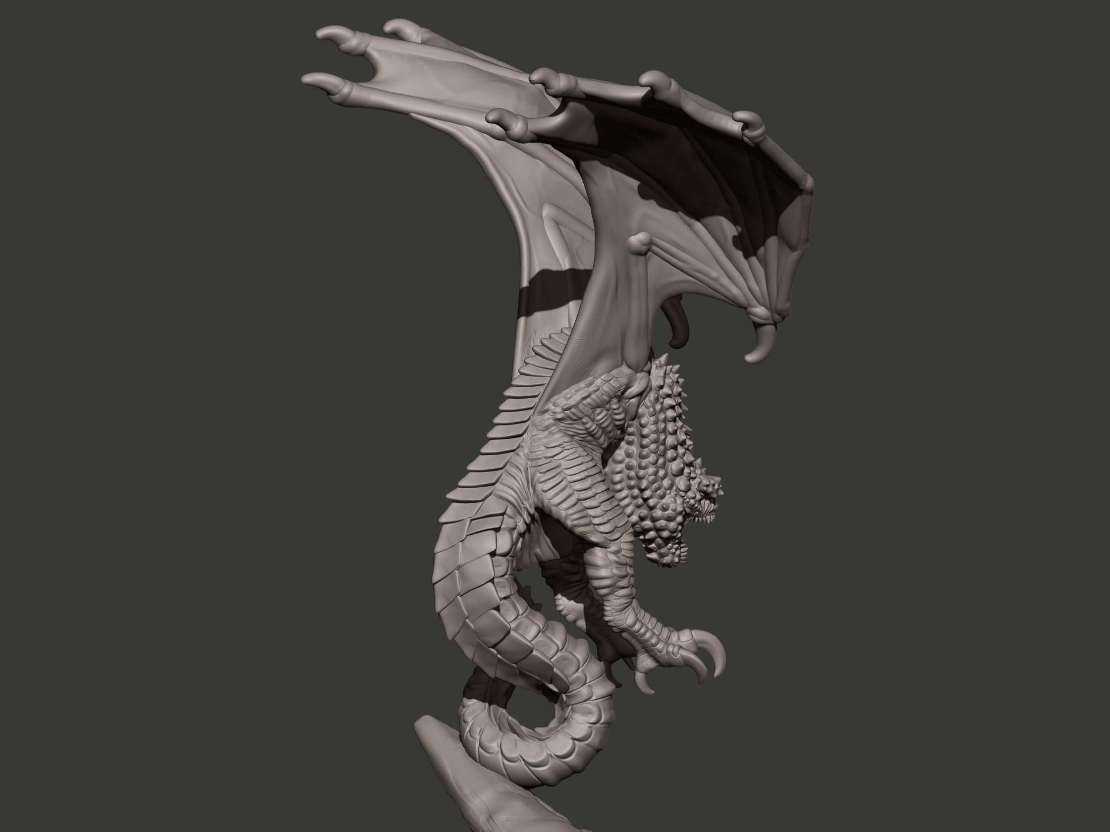 Wyvern dragon statue 3D print model_11