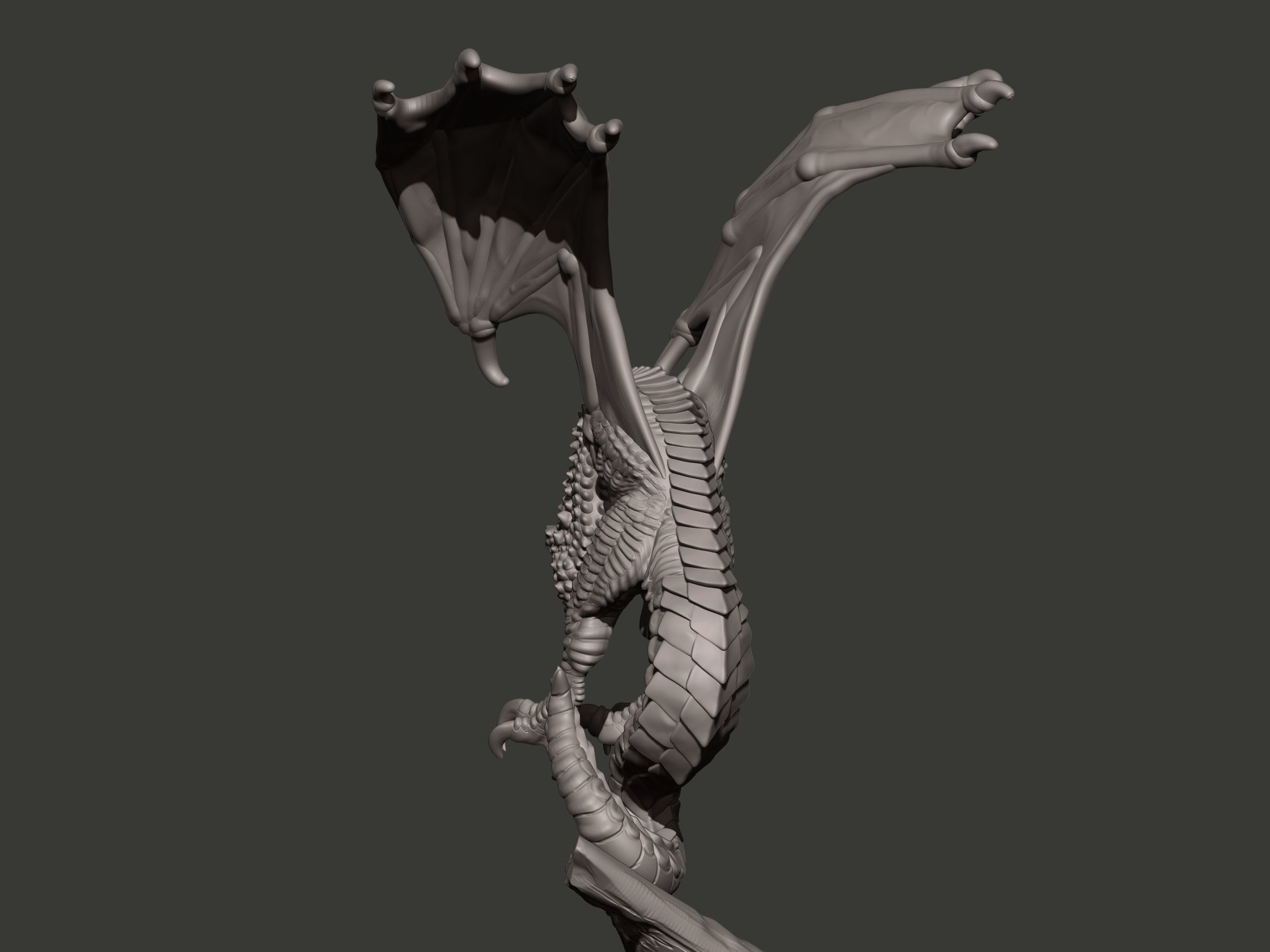 Wyvern dragon statue 3D print model_4