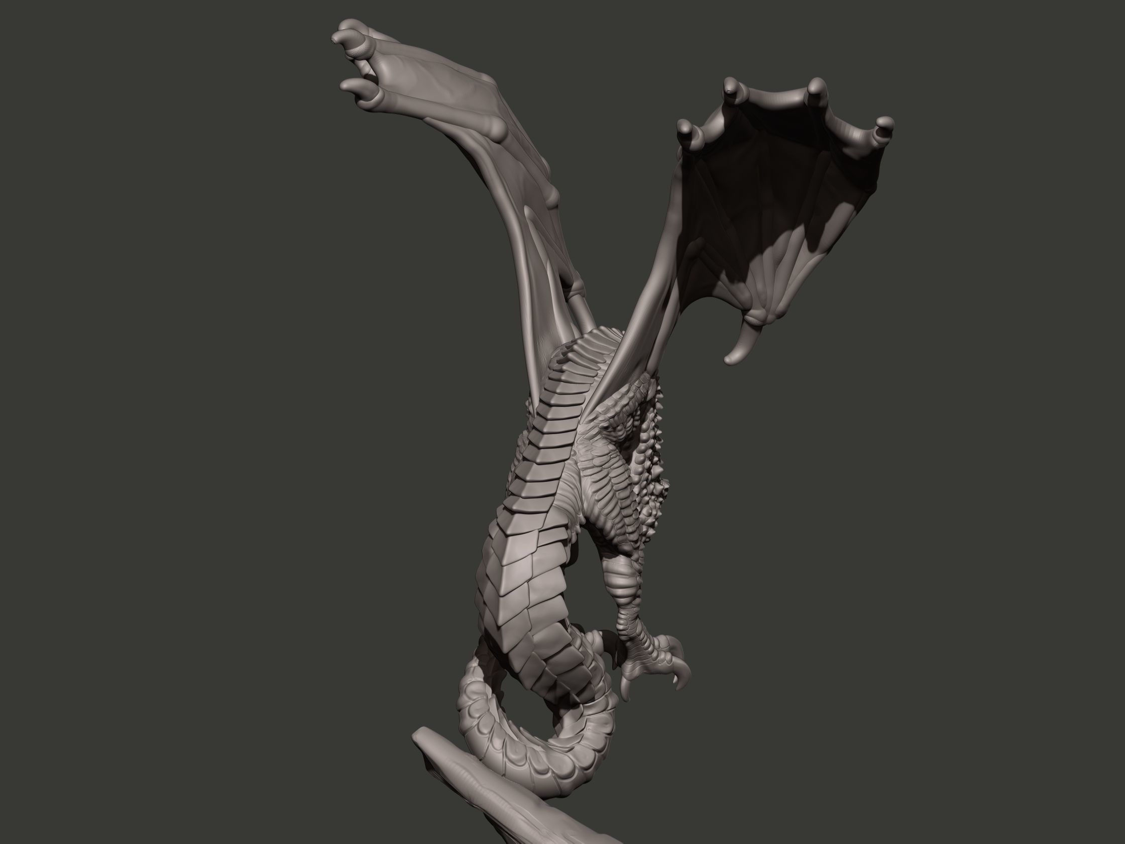 Wyvern dragon statue 3D print model_12