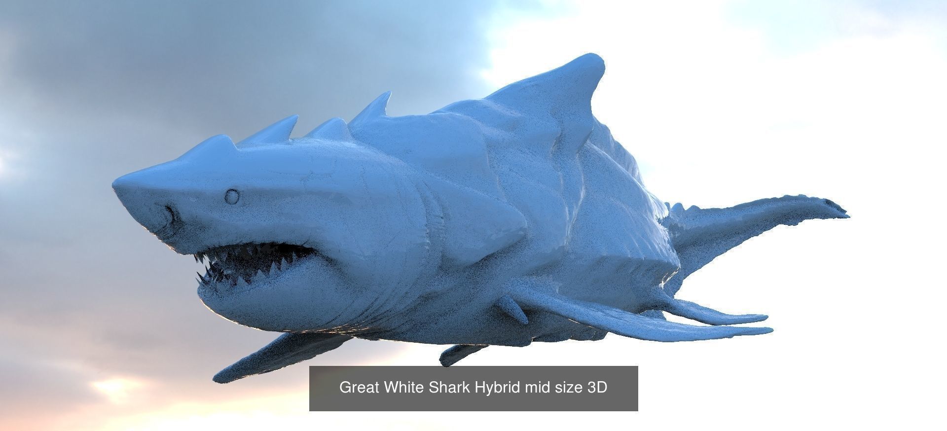 Ocean City Collection 1 _7