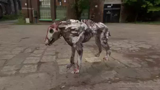 Zombie wolf dog