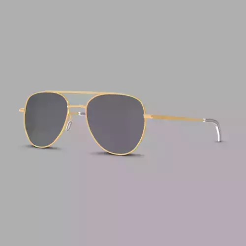 Eco - Brisbane Gold Glasses Low-poly 3D model