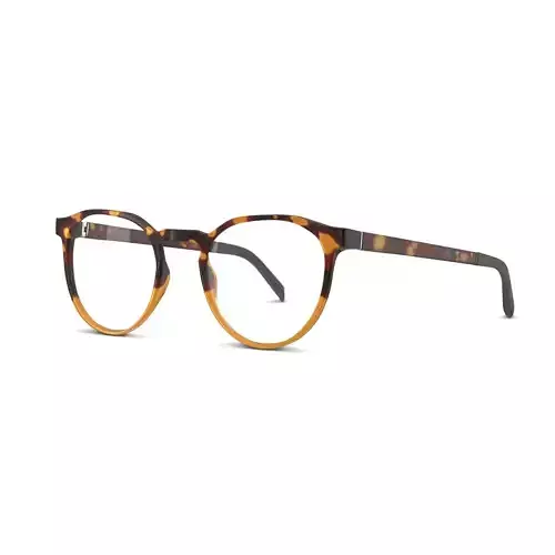 Eco - Didessa Yttg Glasses Low-poly 3D model