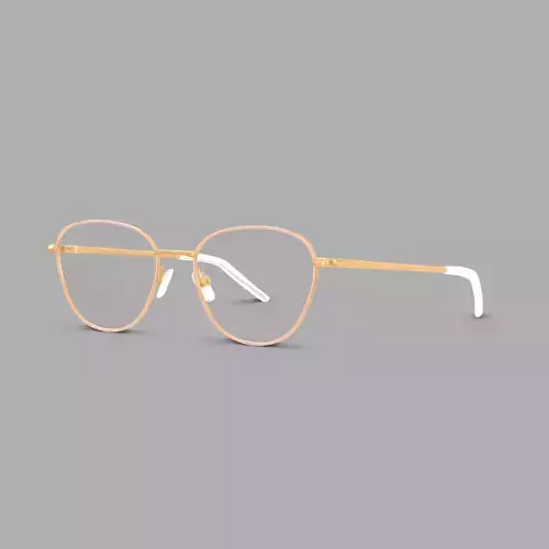 Eco - Manila Pink Rose Gold Glasses Low-poly 3D model