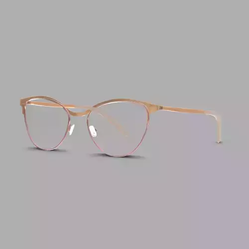 Eco - Livigno Nude Rose Gold Glasses Low-poly 3D model
