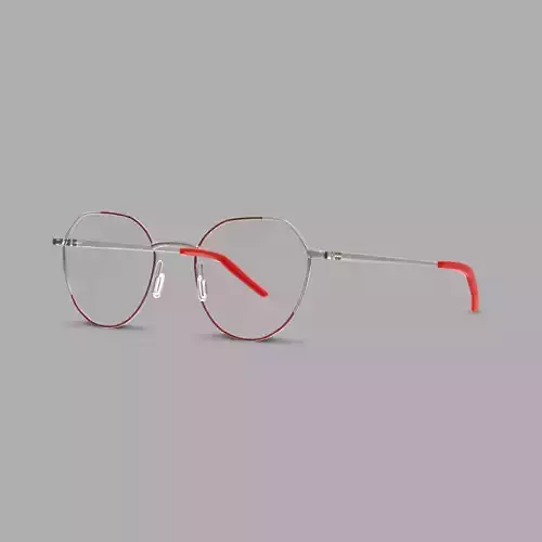 Eco - Dakar Red Gun Glasses Low-poly 3D model