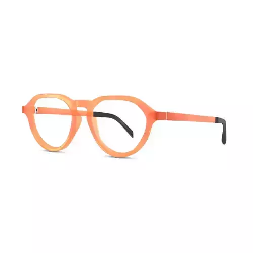 Eco - Arve Coral Glasses Low-poly 3D model