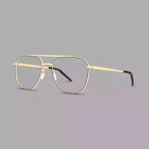 Eco - Edinburgh Black Gold Glasses Low-poly 3D model